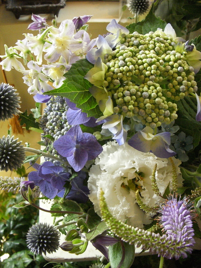 紫陽花。。。_a0229658_205215100.jpg