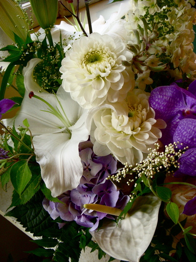 紫陽花。。。_a0229658_20542369.jpg