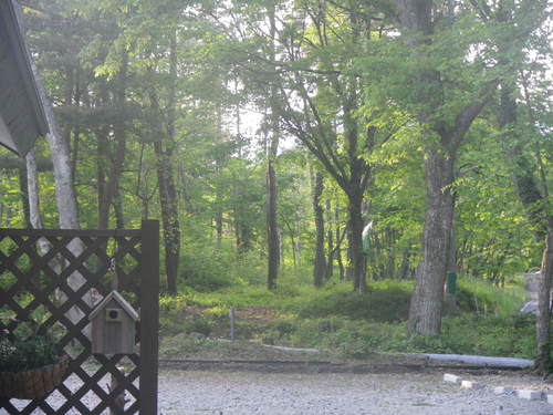 e0325660_14323533.jpg