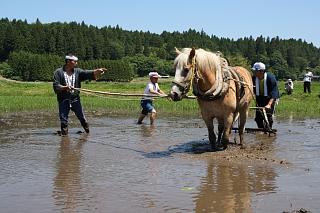 芦野の田植え祭り_c0121970_22422928.jpg