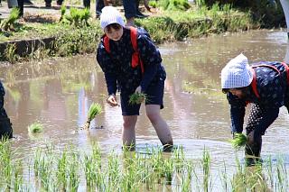 芦野の田植え祭り_c0121970_22481326.jpg