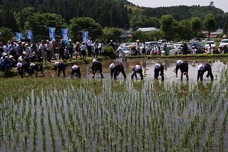 芦野の田植え祭り_c0121970_22484117.jpg