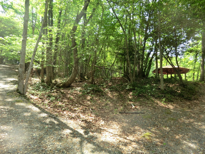 b0185573_16405886.jpg