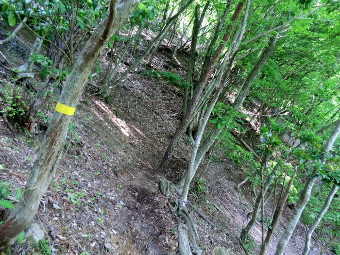 b0185573_16455411.jpg