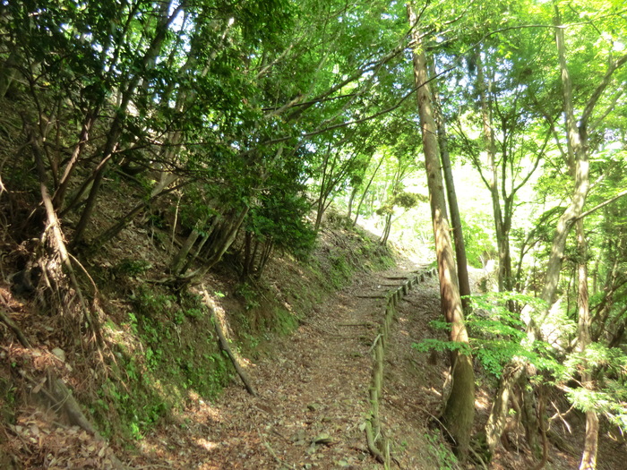 b0185573_16505020.jpg