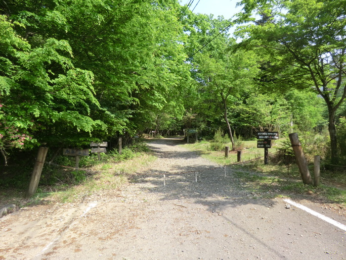 b0185573_1653683.jpg