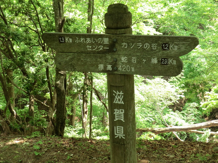 b0185573_16555858.jpg