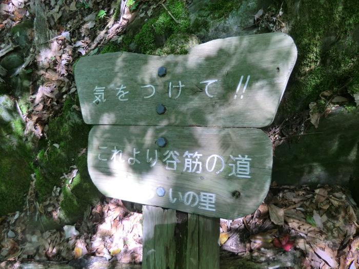 b0185573_16565342.jpg