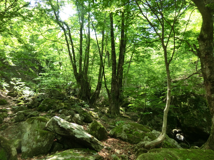 b0185573_16575726.jpg