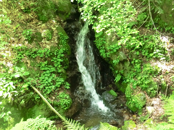 b0185573_17375940.jpg