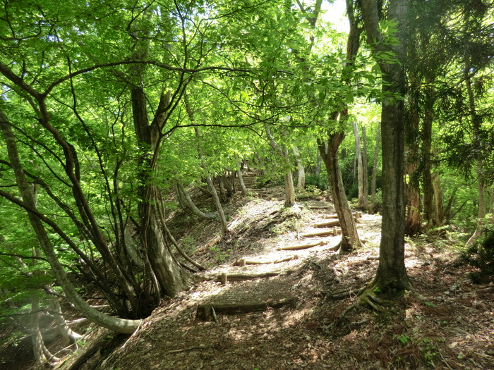 b0185573_17501954.jpg
