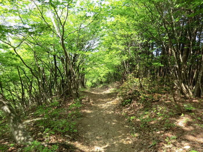 b0185573_20241575.jpg