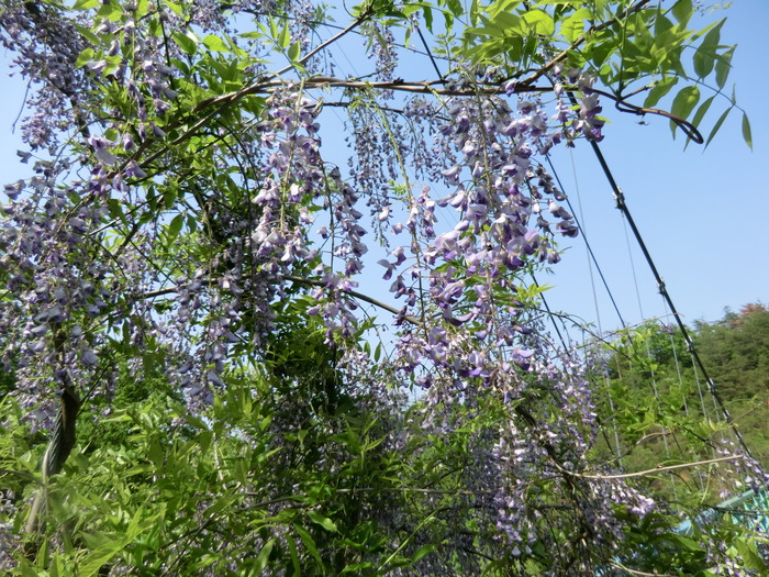 b0185573_20481217.jpg