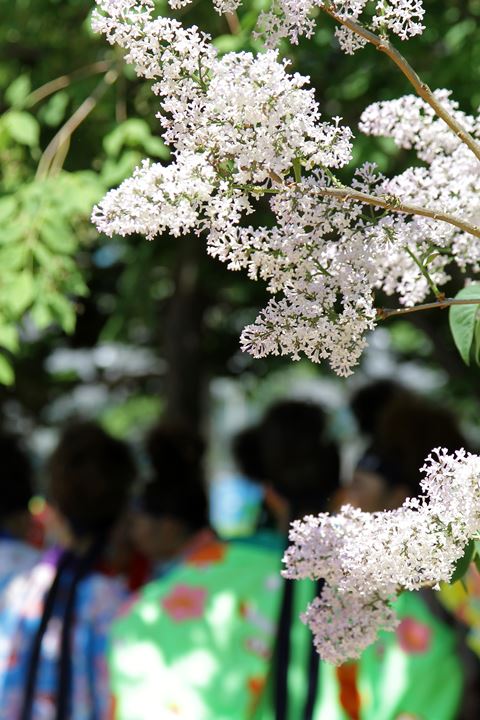 平岸天神_e0326479_15432044.jpg