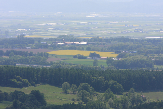 b0003280_07375.jpg