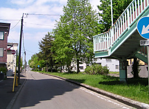 f0078286_10481847.jpg