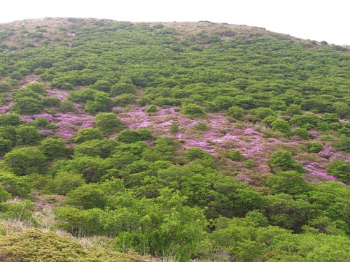 b0035391_11235011.jpg