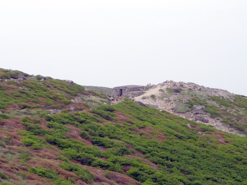 b0035391_11304256.jpg