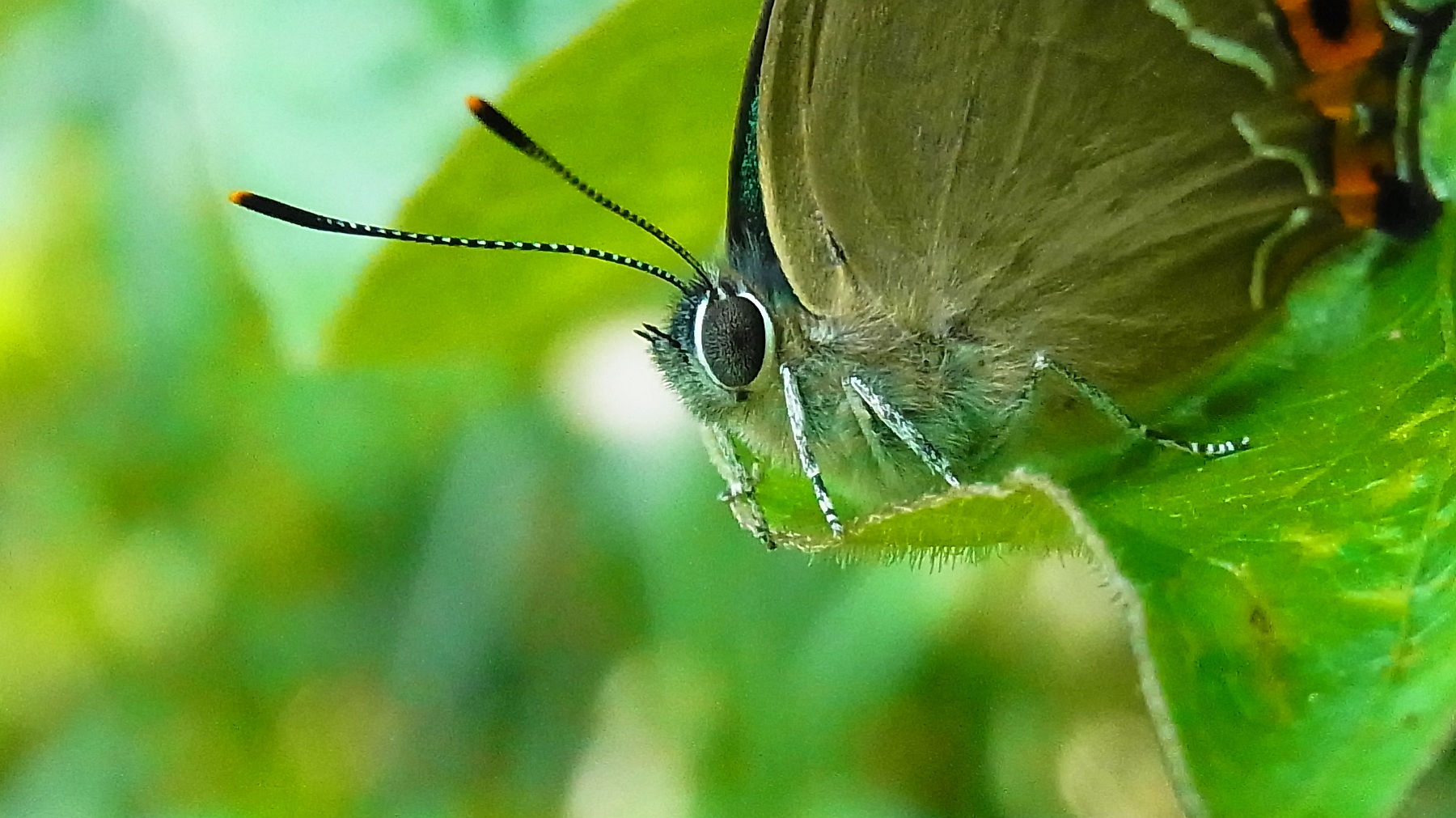 a0152692_81033.jpg