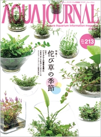 アクアジャーナル、写真集「美しき新潟」　入荷しました_c0203392_1256194.jpg