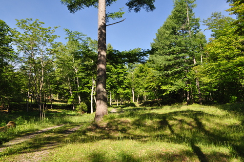 d0226492_15594592.jpg