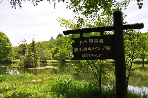 d0226492_1624496.jpg