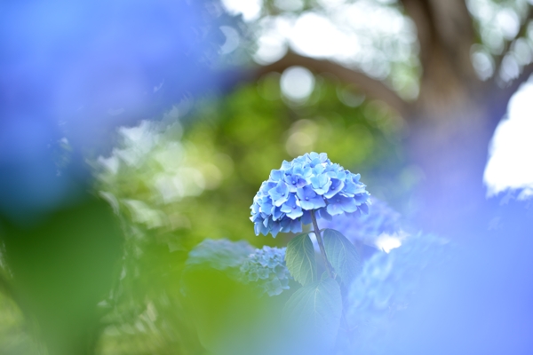 f0233999_22272819.jpg
