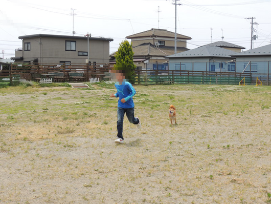 b0283404_1545495.png