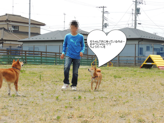 b0283404_15492753.png