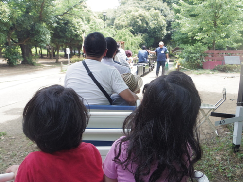 ミニSL&ピクニック&遊び@世田谷公園_e0123104_622421.jpg