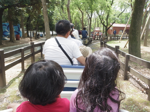 ミニSL&ピクニック&遊び@世田谷公園_e0123104_6234250.jpg