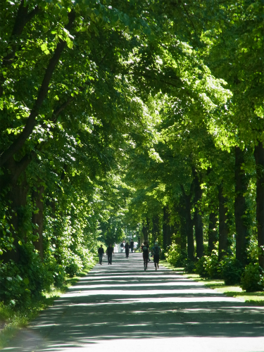 e0149604_21234570.jpg