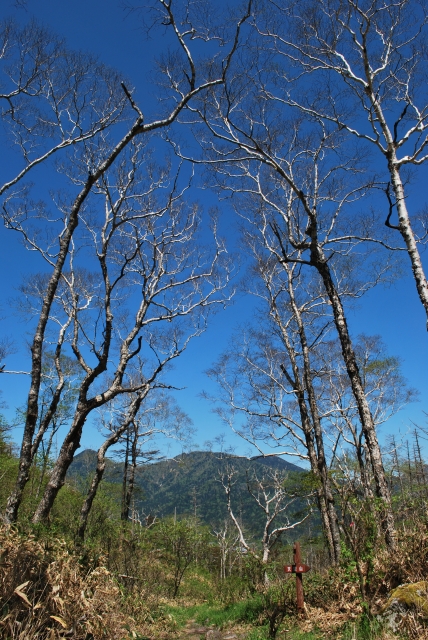 d0051707_617587.jpg