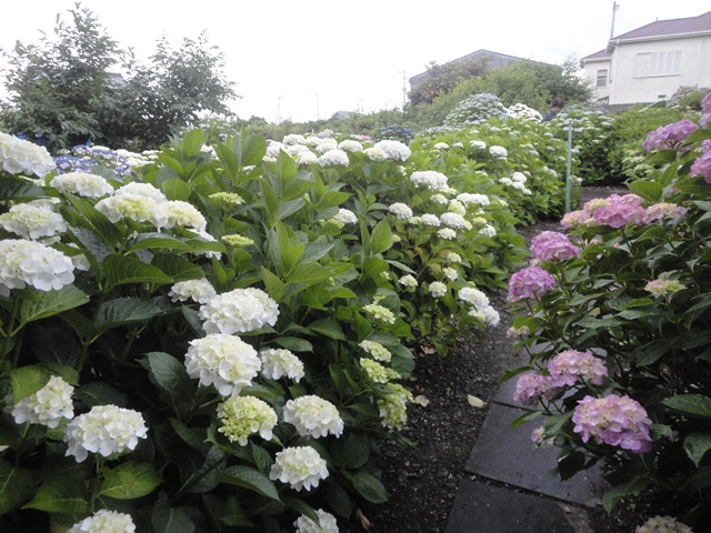 f0231709_13491333.jpg