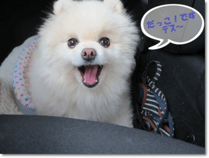 b0167519_2029524.gif