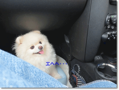 b0167519_20364620.gif