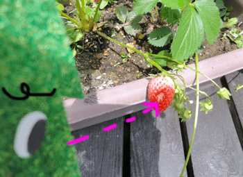 f0232920_11172442.gif