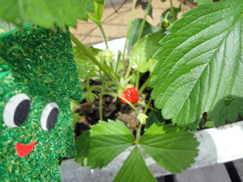 f0232920_1119550.gif