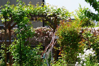 f0170524_22235176.jpg