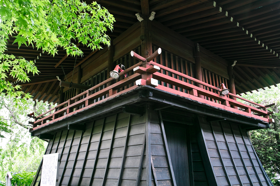 (2013速報）本土寺のあじさいはこれからが本番です！SIGMA DP３兄弟で巡る本土寺_c0223825_011195.jpg