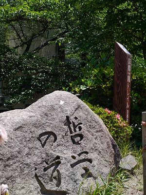 初夏 ~哲学の道(京都)~_c0235725_211661.jpg