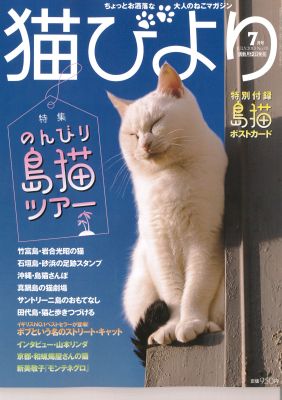 猫びより、猫生活　7月号_d0083729_1484470.jpg