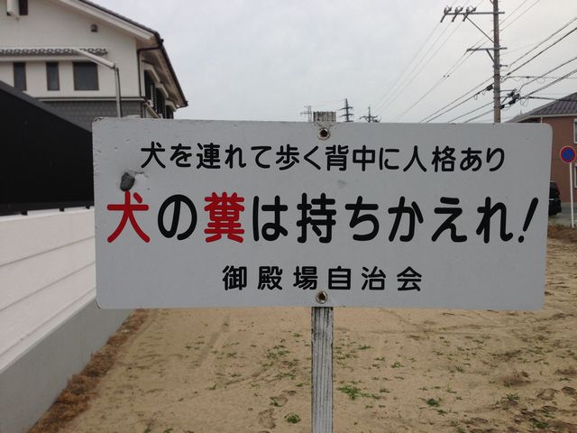 b0127531_17165576.jpg