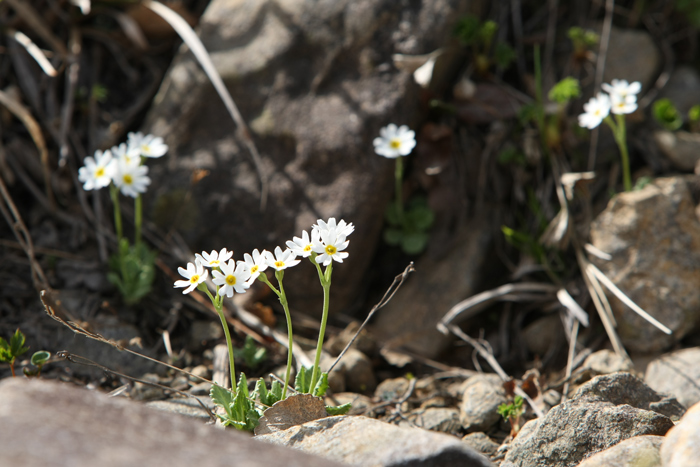 a0087133_6531756.jpg