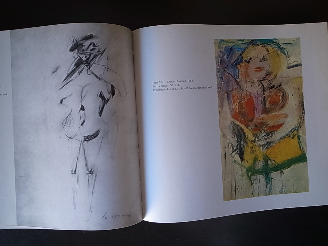 WILLEM DE KOONING / Harold Rosenberg_a0227034_1746493.jpg