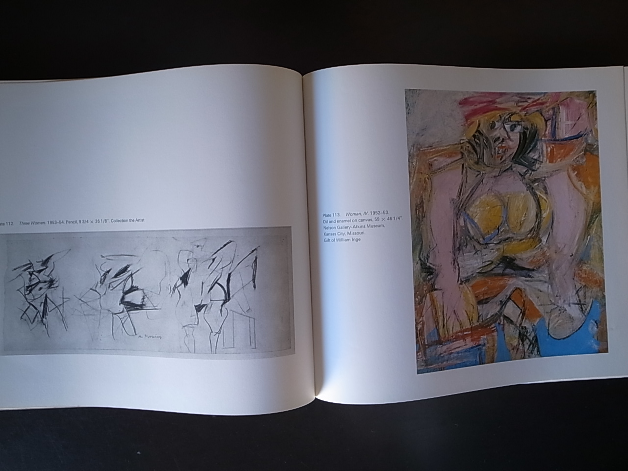 WILLEM DE KOONING / Harold Rosenberg_a0227034_17465681.jpg