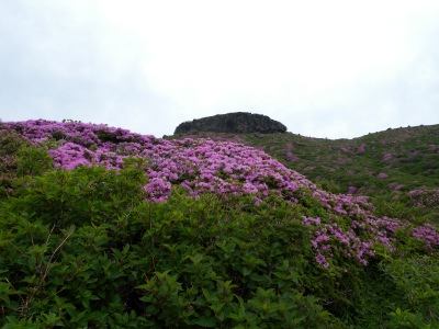 e0272335_11584981.jpg