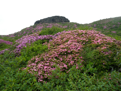 e0272335_12124890.jpg