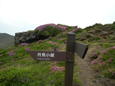 e0272335_1233533.jpg