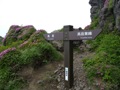 e0272335_1333335.jpg